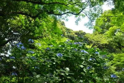 DSC_3368 (Large).JPG